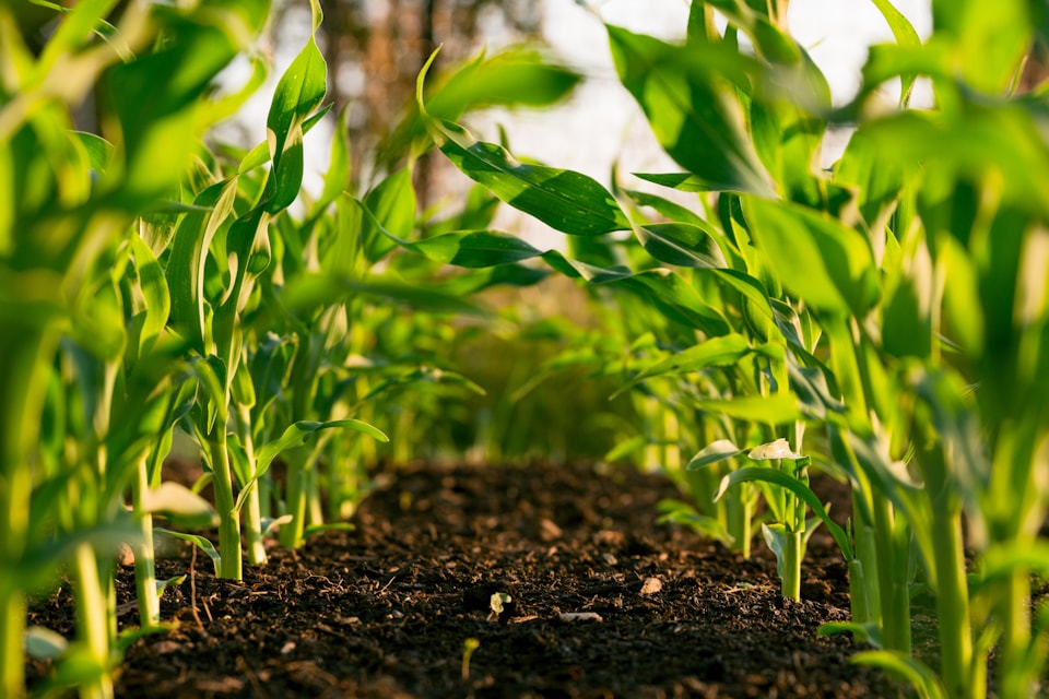 Grow Your Agricultural Business Network
